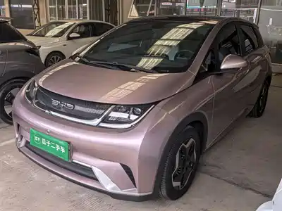 BYD Dolphin 2022