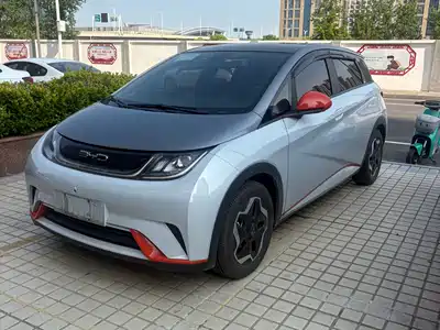 BYD Dolphin 2022