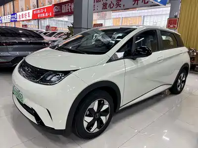 BYD Dolphin 2026