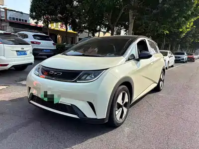 BYD Dolphin 2023