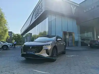 Voyah Auto Zhiyin 2025