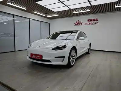 Tesla Model 3 (Import) 2019