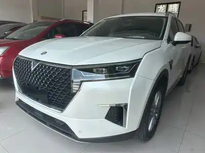 Venucia Star 2020