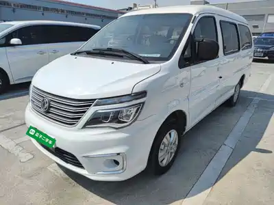 Dongfeng Fengxing Lingzhi 2019