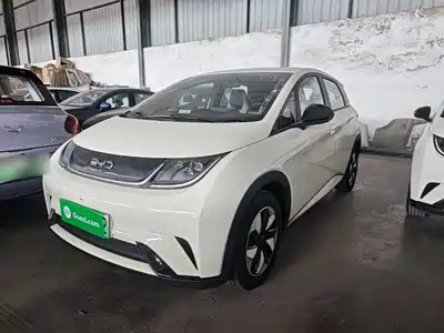 BYD Dolphin 2026