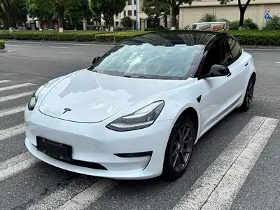 Tesla Model 3 (Import) 2019