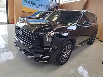 GAC Trumpchi GS8 2022