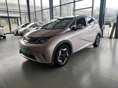 BYD Dolphin 2022