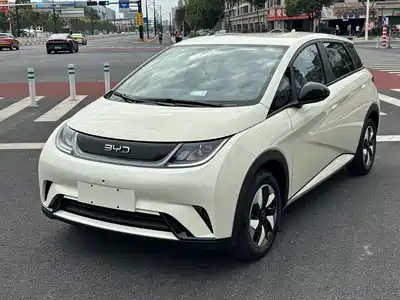 BYD Dolphin 2026
