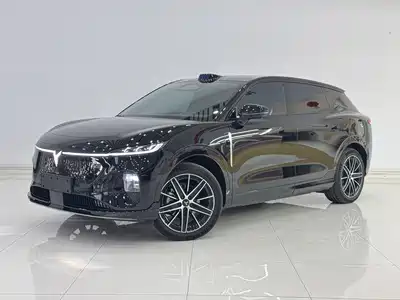 Voyah Auto Zhiyin 2025
