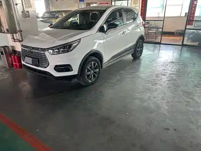 BYD Yuan New Energy 2020
