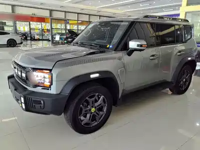 Jetour Shanhai T2 2025