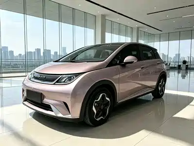 BYD Dolphin 2022