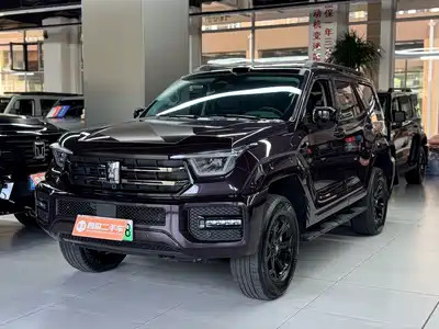 Tank 400 New Energy 2025
