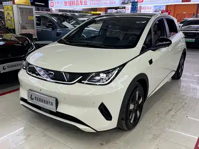 BYD Dolphin 2025