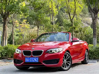 BMW 2 Series (Import) 2019