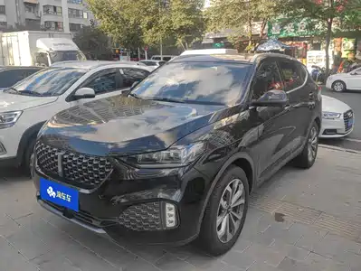 WEY VV6 2019
