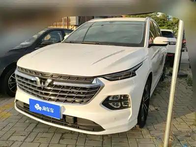Wuling Motors Victory 2020