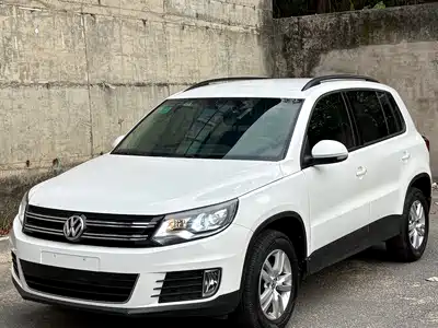 Volkswagen Tiguan 2013