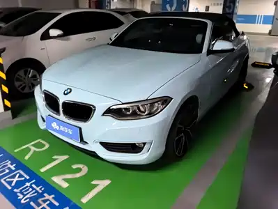 BMW 2 Series (Import) 2016