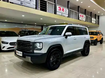 Haval Meng Long NEV 2025