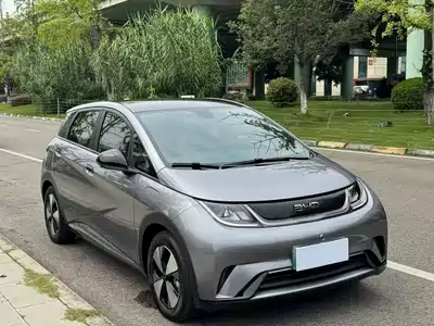 BYD Dolphin 2024