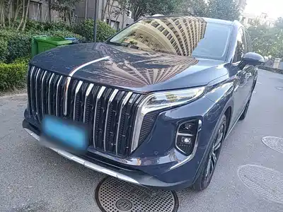 Hongqi HS7 2023