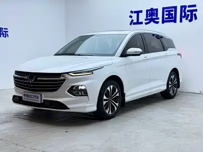 Wuling Motors Victory 2023