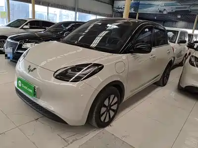 Wuling Motors Bingo 2024