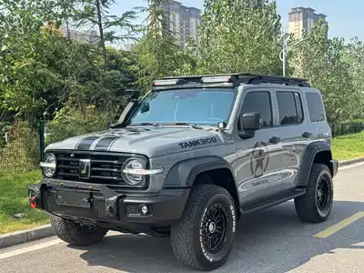 Tank 300 2023