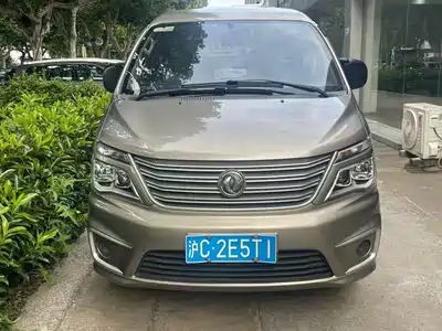 Dongfeng Fengxing Lingzhi 2021