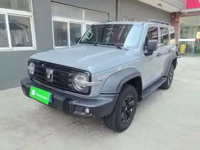 Tank 300 2024