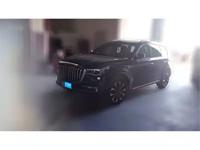 Hongqi HS7 2021