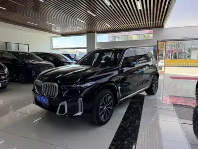 BMW X5 2024