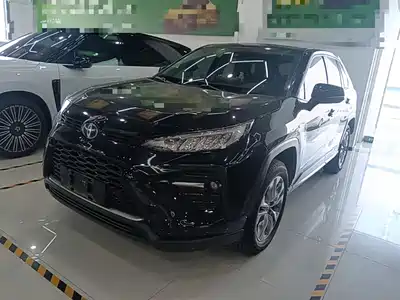 Toyota Wildlander 2022