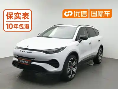 Denza X 2020