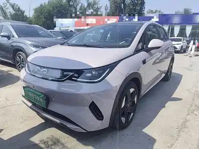 BYD Dolphin 2025