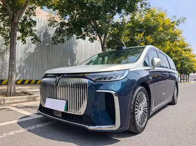 Voyah Auto Dreamer 2025