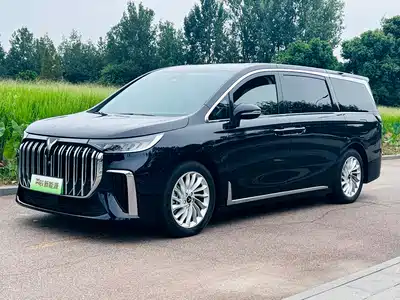 Voyah Auto Dreamer 2023