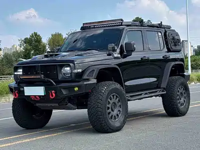 Tank 300L New Energy 2025