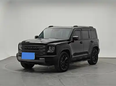 Haval Meng Long NEV 2025