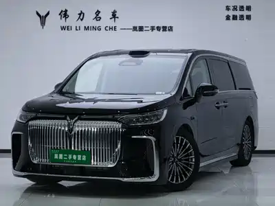 Voyah Auto Dreamer 2025