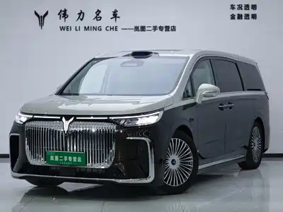 Voyah Auto Dreamer 2025
