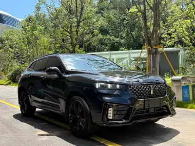 WEY VV7 2021