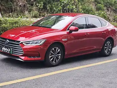 BYD Qin Pro New Energy 2019