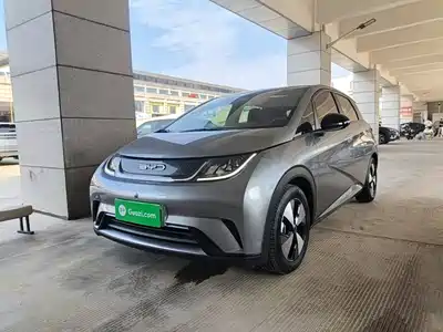 BYD Dolphin 2023
