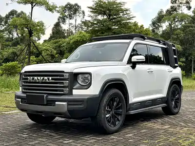 Haval Meng Long NEV 2024
