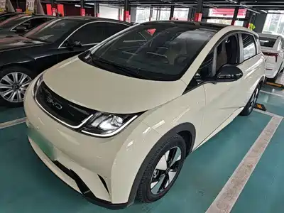 BYD Dolphin 2024