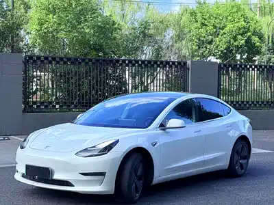 Tesla Model 3 (Import) 2019