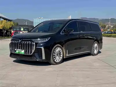 Voyah Auto Dreamer 2024